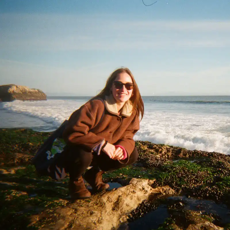 Rachael's profile picture