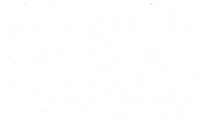 Matthias's profile picture
