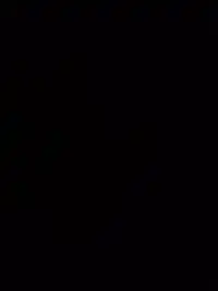 Michael's profile picture